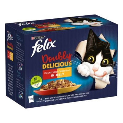 Picture of Felix As Good As it Looks Doubly Delicious 12 X 100g Box